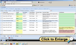 Project office status reports